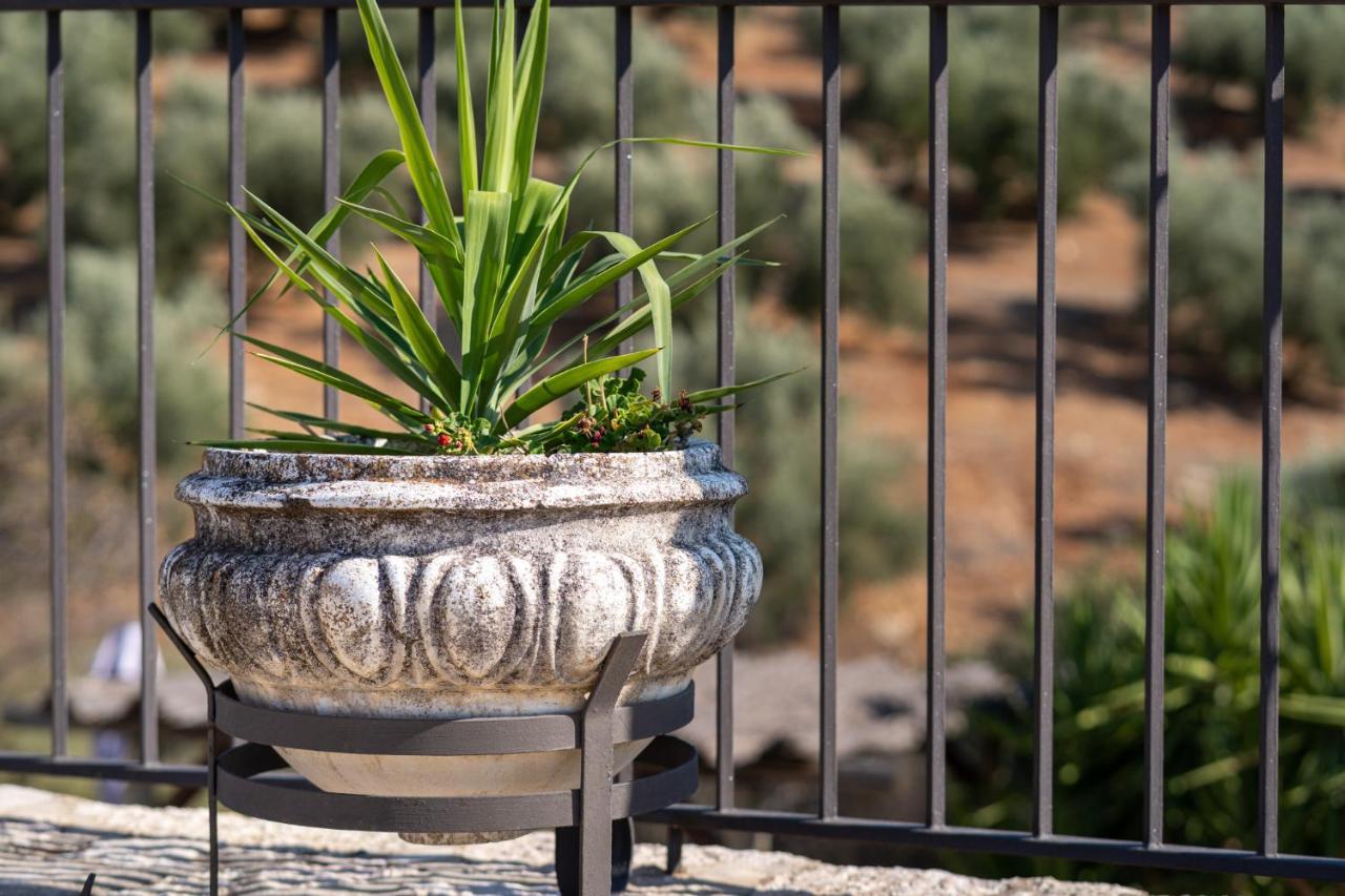 Hacienda La Buena Vida B&B En Appartementen Algarinejo エクステリア 写真