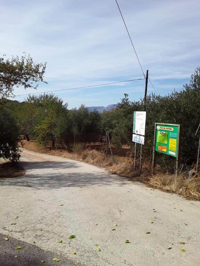 Hacienda La Buena Vida B&B En Appartementen Algarinejo エクステリア 写真
