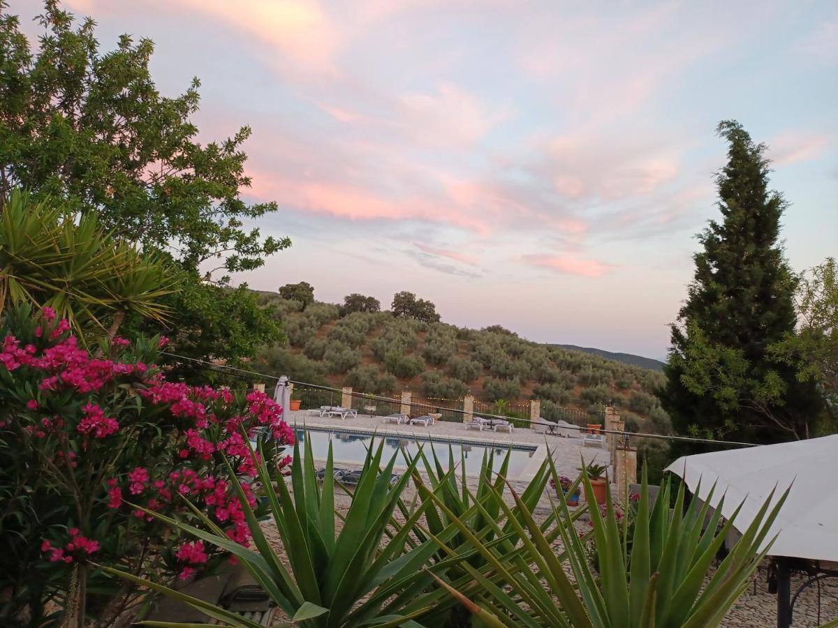 Hacienda La Buena Vida B&B En Appartementen Algarinejo エクステリア 写真